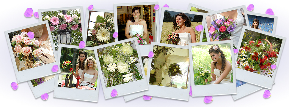 image montage